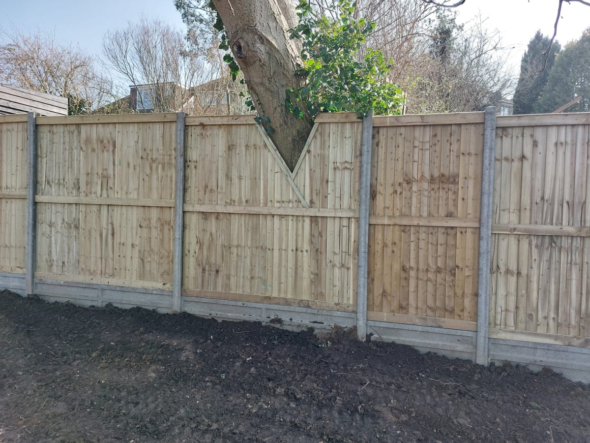 Fence panels fitted around a mature tree with concrete posts